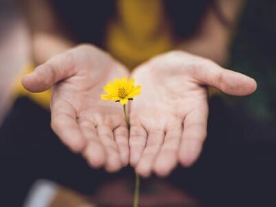 Brezplačno - podarim ti