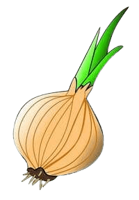 Se lupim kot čebula